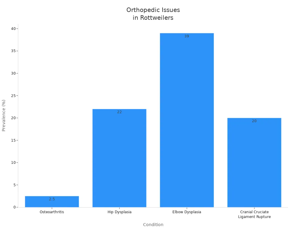 Bar chart showing prevalence of joint and orthopedic issues in Rottweilers