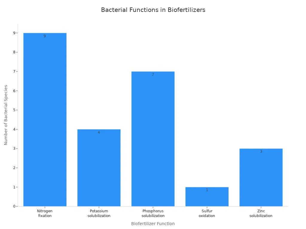 Bar chart showing the number of bacterial species used for each biofertilizer function