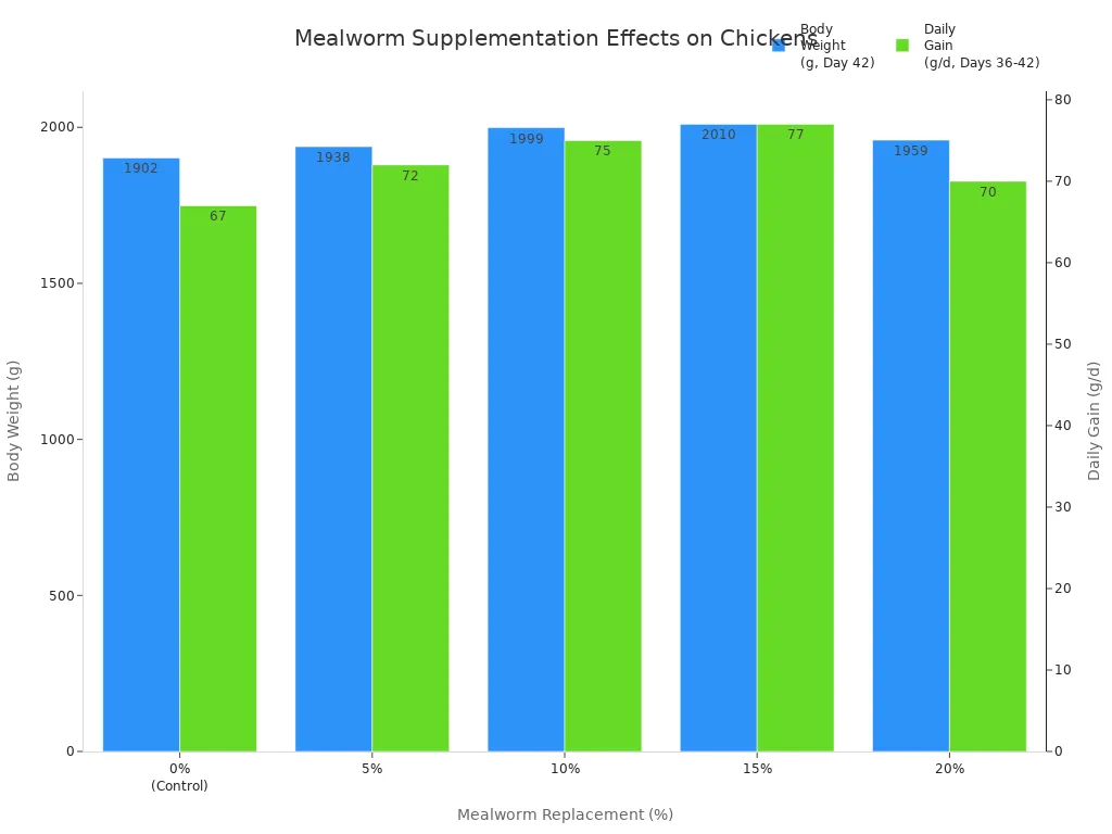 Bar chart showing body weight and daily gain of chickens at different mealworm supplementation levels