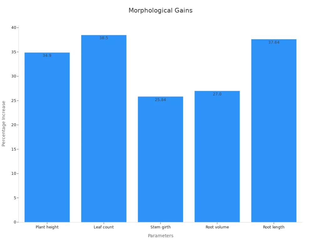 Bar chart showing percentage increases in plant morphology due to potassium humate fertilizer​
