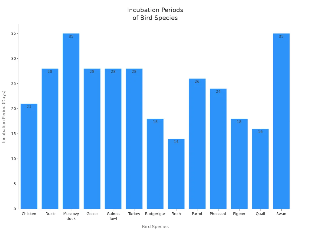 Bar chart comparing incubation periods of various domesticated and wild bird species