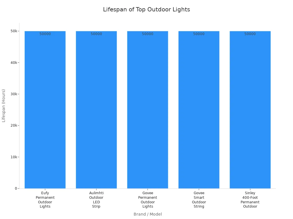 Bar chart comparing the lifespan in hours of top permanent outdoor lights