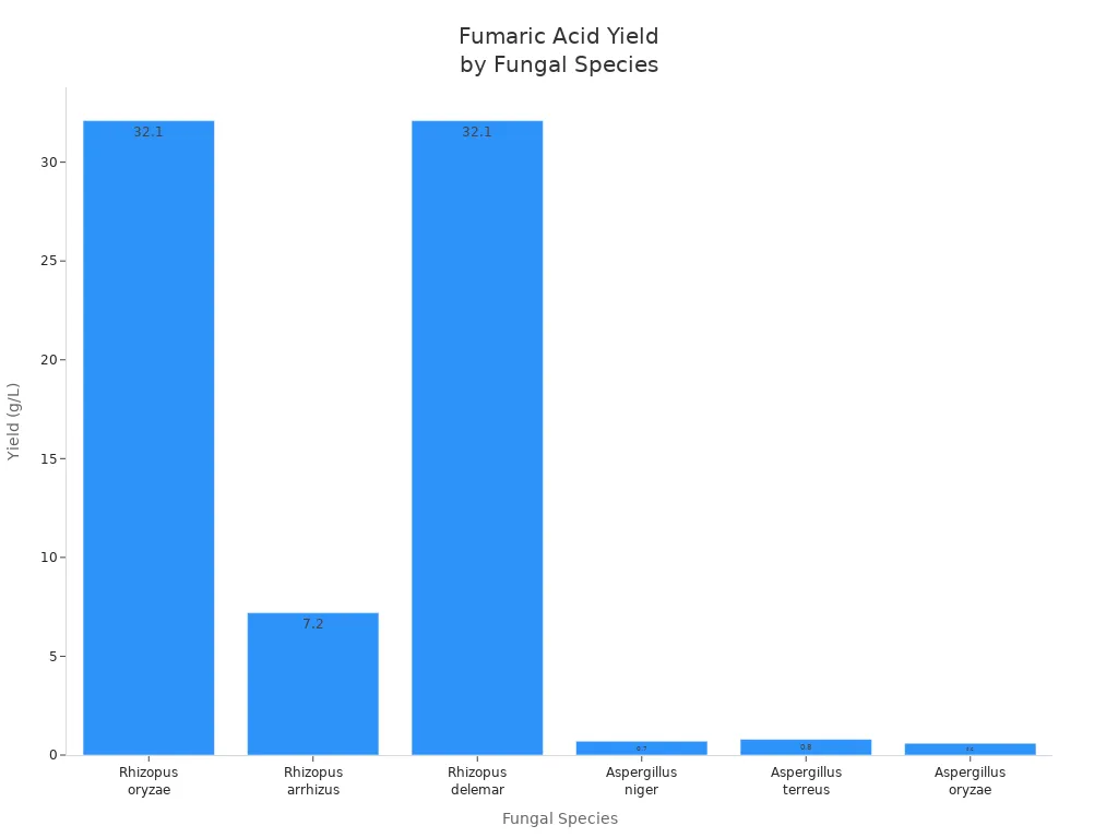 Bar chart comparing fumaric acid yields of six fungal species