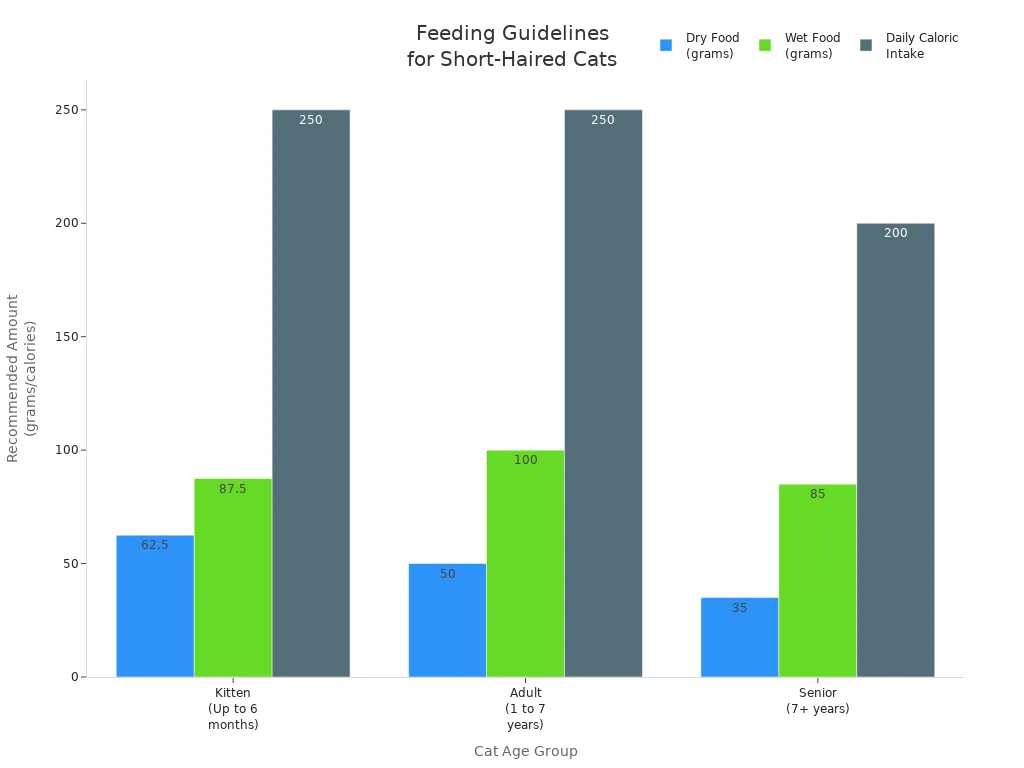 Bar chart comparing dry food, wet food, and caloric intake for kittens, adult, and senior short-haired cats