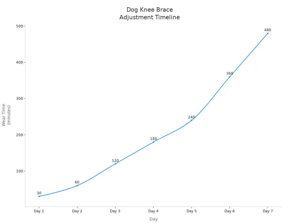 Line chart tracking progressive daily wear time increase during first week of brace use
