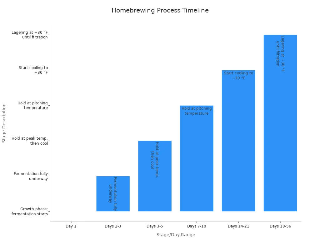 Bar chart showing the timeline and stages of the homebrewing process from brewing day to conditioning.