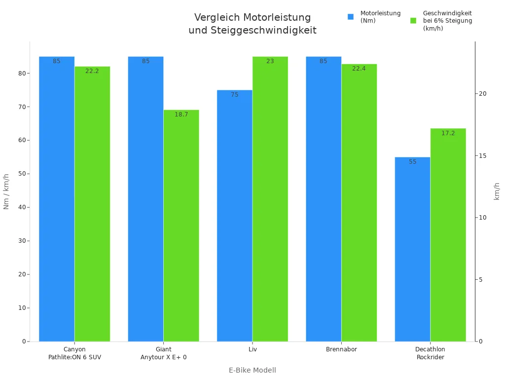 Balkendiagramm: Motorleistung und Geschwindigkeit bei 6% Steigung für fünf Trekkingrad E-Bike Modelle