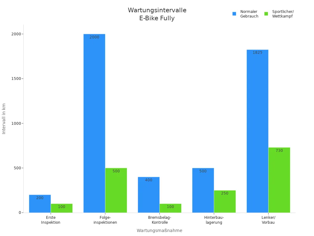 Vergleich der Wartungsintervalle für E-Bike Fullys im normalen und sportlichen Einsatz