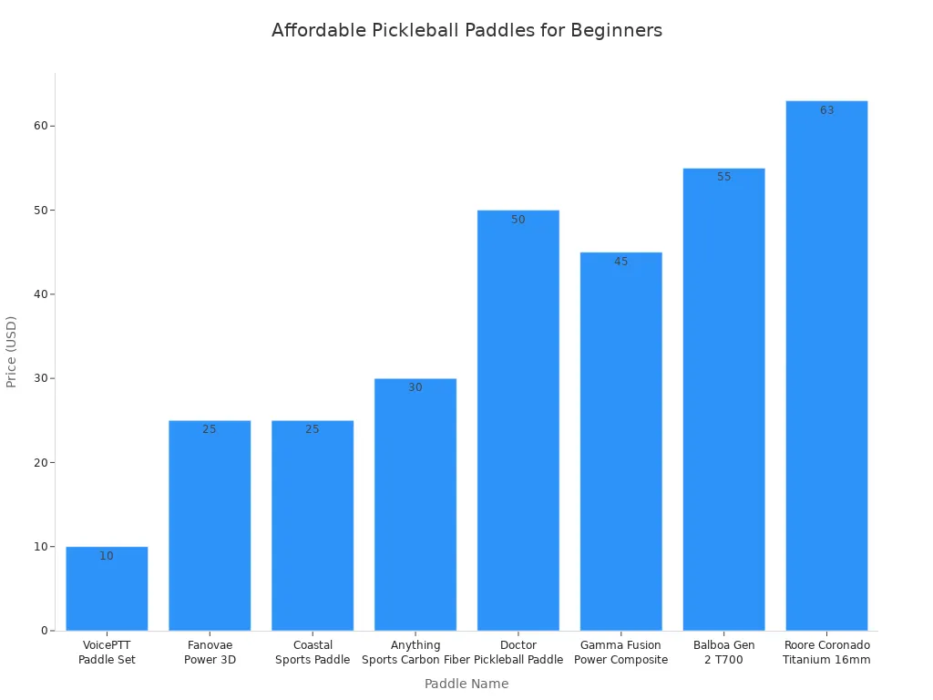 Bar chart comparing prices of beginner pickleball paddles