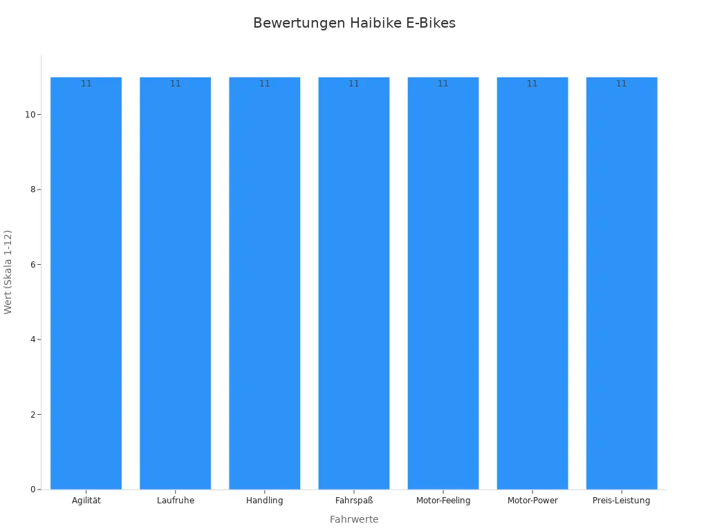 Balkendiagramm der Fahrwerte der Haibike Trekking E-Bikes