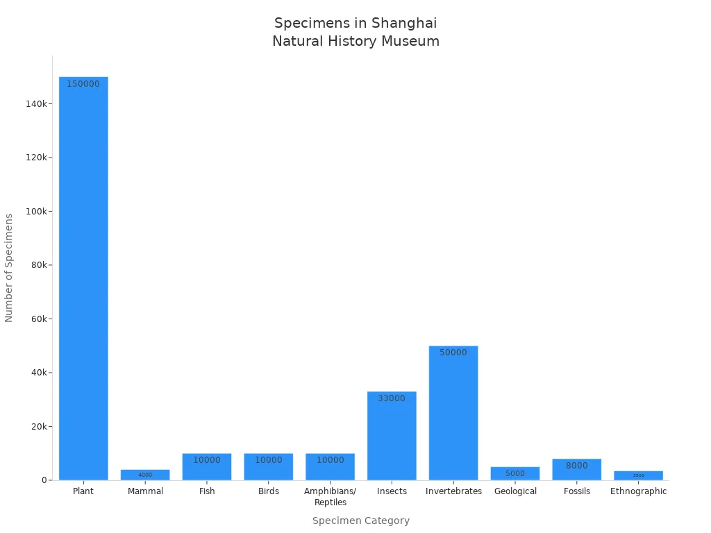 Bar chart showing specimen counts by category in Shanghai Natural History Museum