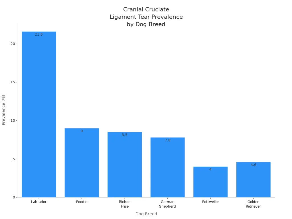 Bar chart showing prevalence of cranial cruciate ligament tears in different dog breeds