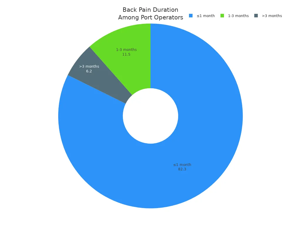 Pie chart showing distribution of back pain durations among port operators