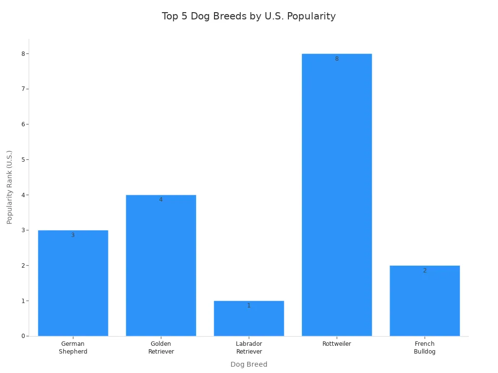 Bar chart showing the U.S. popularity rank of the top five dog breeds in 2025