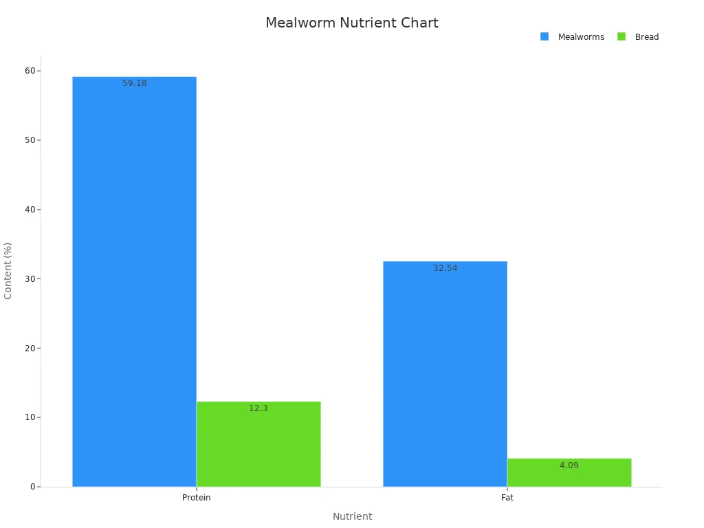 Bar chart comparing protein and fat content for mealworms vs bread