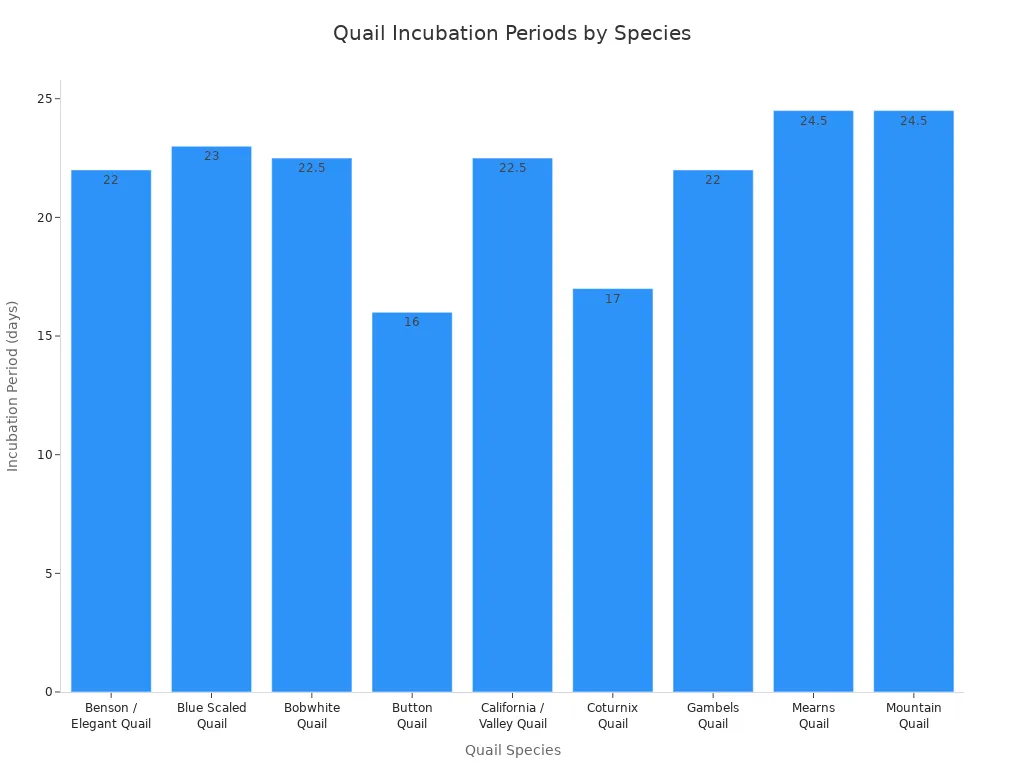 Bar chart comparing incubation periods for various quail species