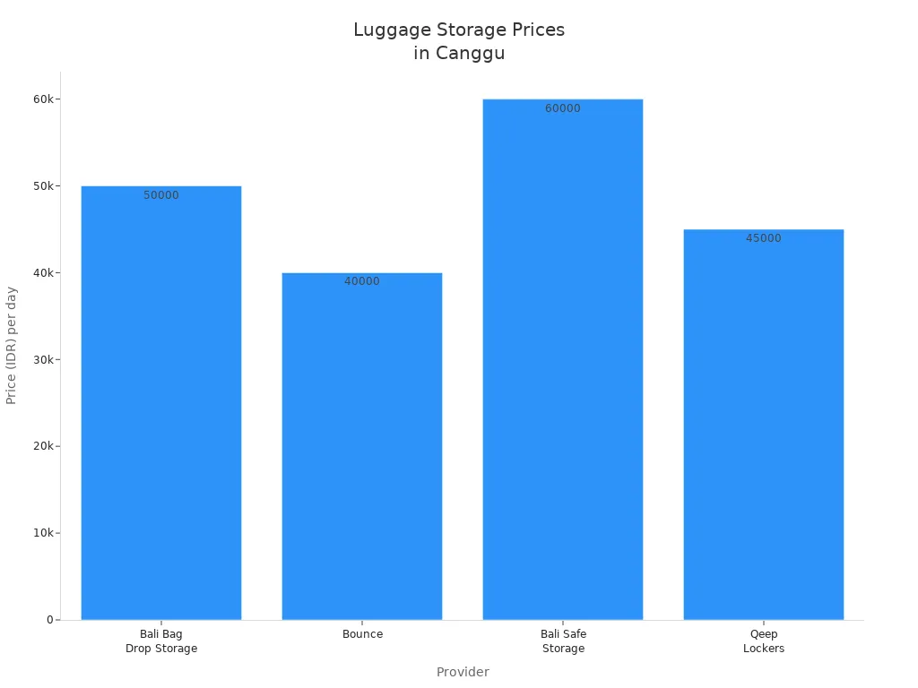 Bar chart comparing daily prices of luggage storage providers in Canggu