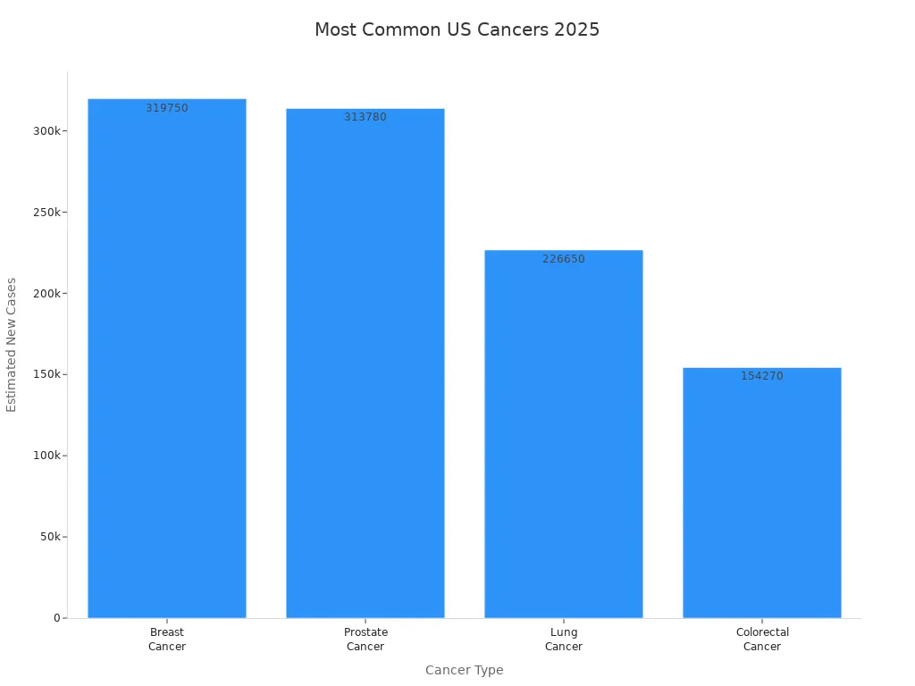 Bar chart comparing estimated new cases of breast, prostate, lung, and colorectal cancer in the US for 2025