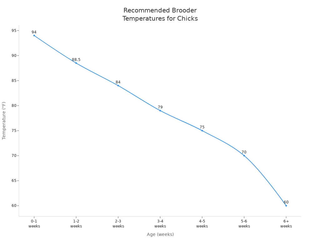 Line chart showing recommended brooder temperatures for chicks by age in weeks