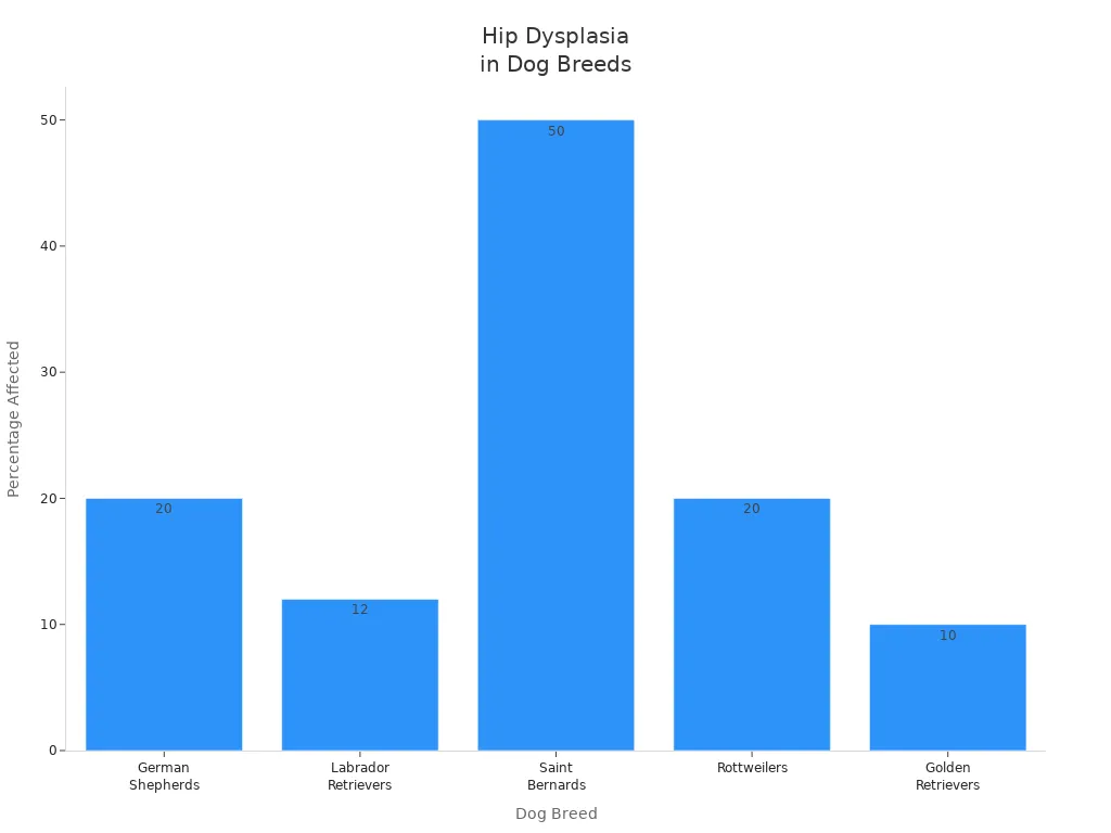 Common dog breeds affected by hip dysplasia