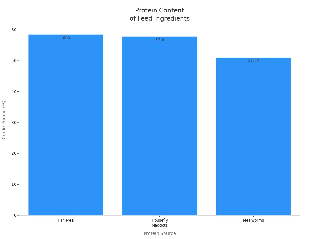 Bar chart comparing crude protein content of fish meal, housefly maggots, and mealworms