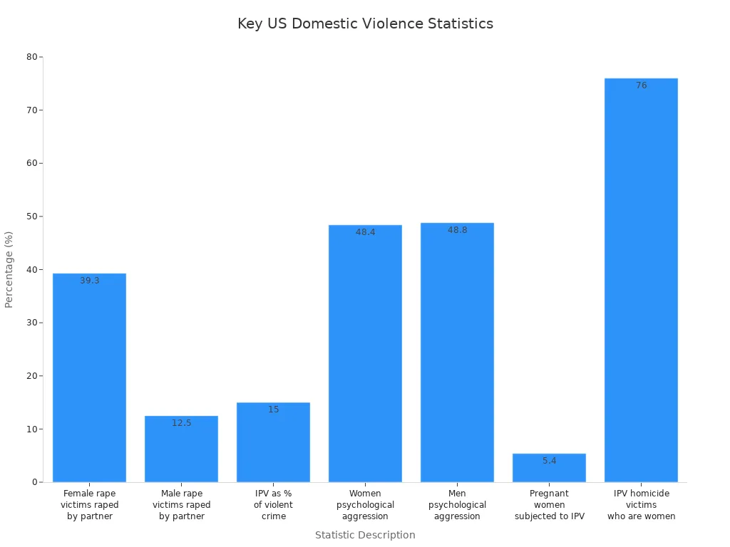 Bar chart showing key US domestic violence prevalence statistics by category