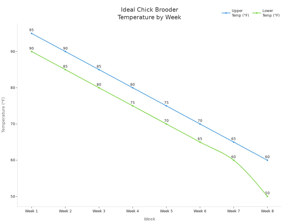 Line chart showing recommended chick brooder temperatures decreasing each week from 95°F to 50°F.