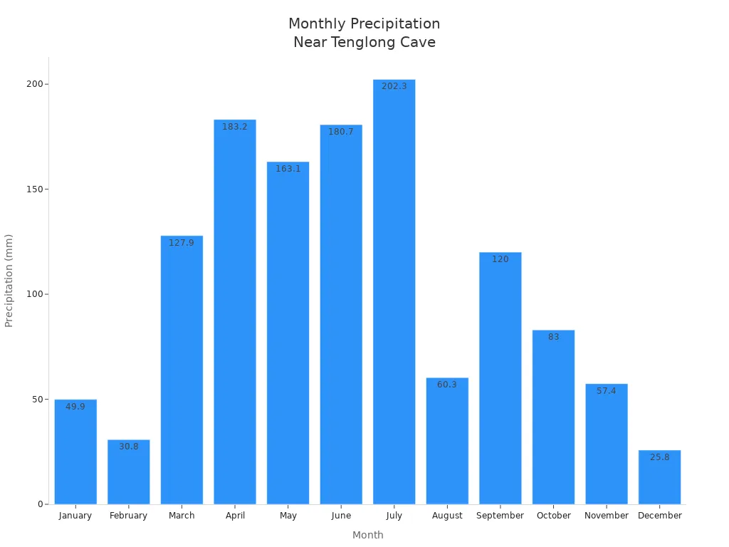 Bar chart showing monthly precipitation near Tenglong Cave