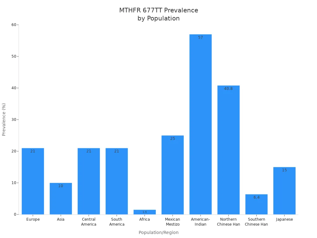 Bar chart showing MTHFR 677TT genotype prevalence across populations