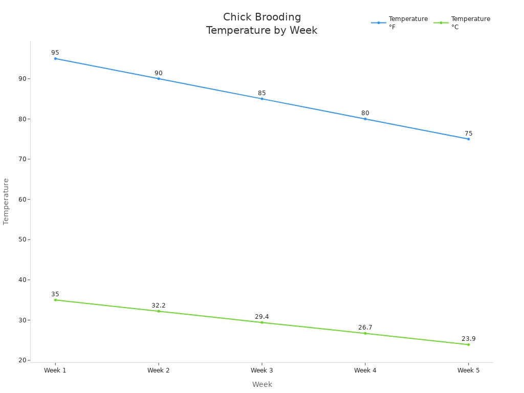 Line chart showing recommended chick brooding temperatures in Fahrenheit and Celsius from week 1 to week 5.