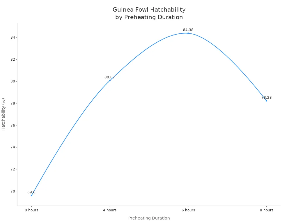 Line chart showing guinea fowl hatchability at different preheating durations