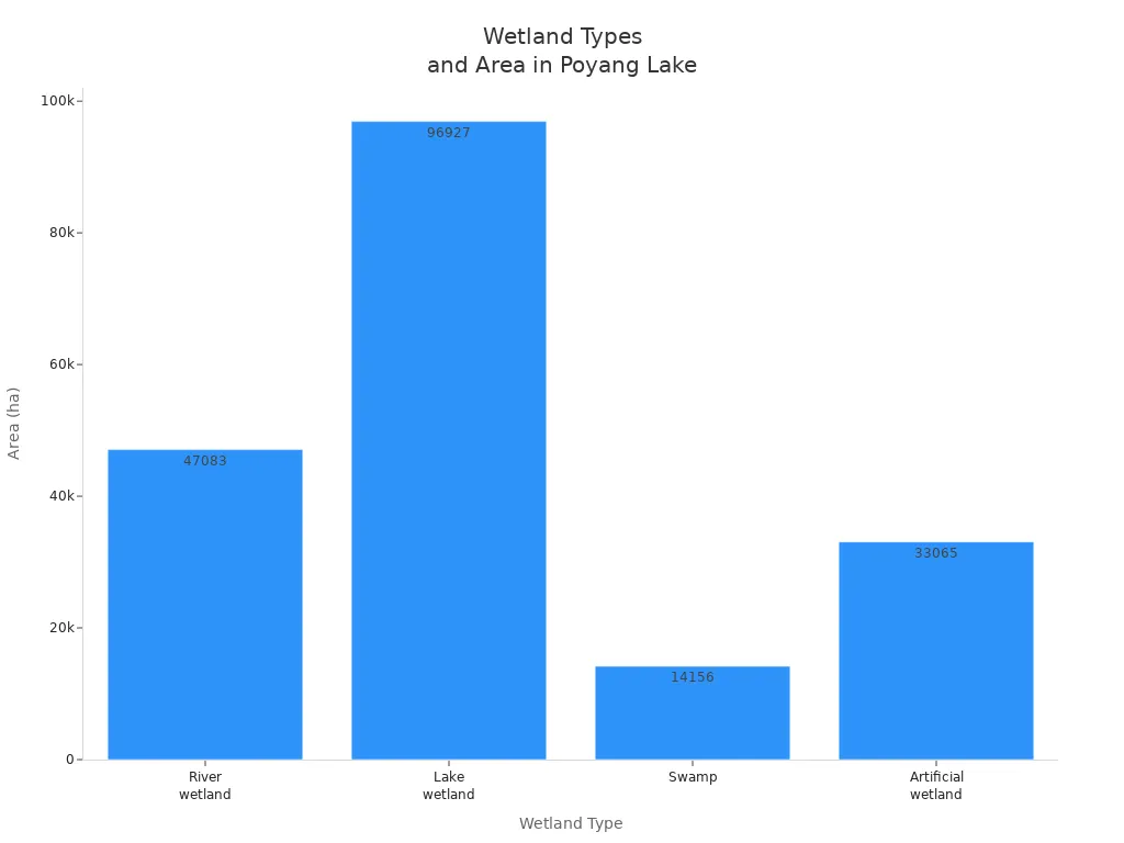 Bar chart comparing area of wetland types in Shangrao Poyang Lake National Wetland Park