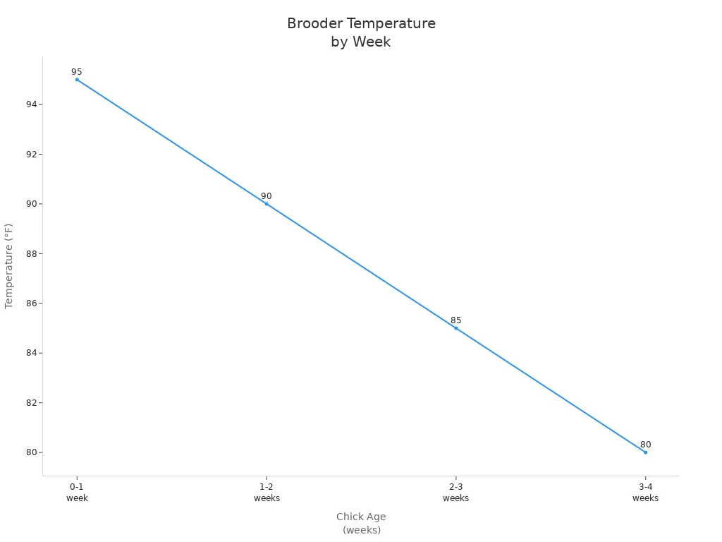 Line chart showing recommended brooder temperature by week for winter chick care