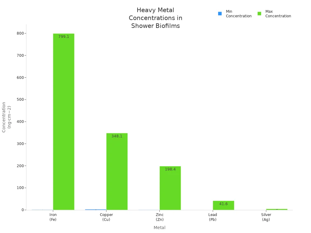 Bar chart comparing minimum and maximum concentrations of iron, copper, zinc, lead, and silver in urban shower hose biofilms.