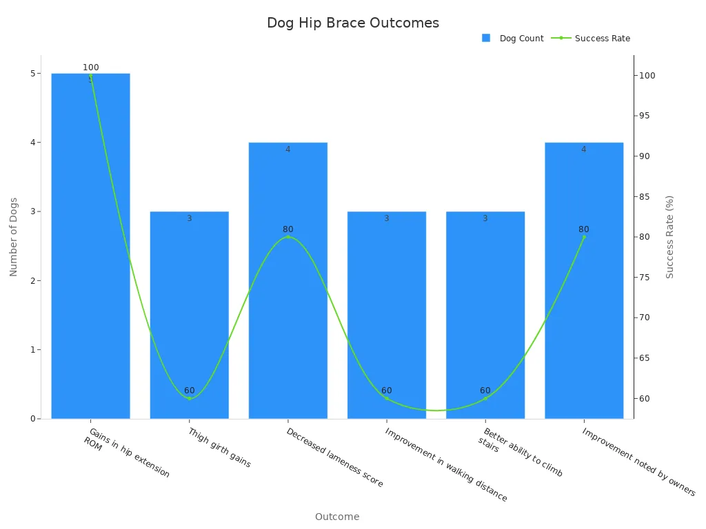 Combined bar and line chart showing hip brace outcomes with dog count and success rates