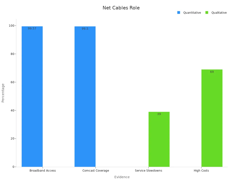 Bar chart comparing quantitative and qualitative evidence percentages for digital infrastructure.