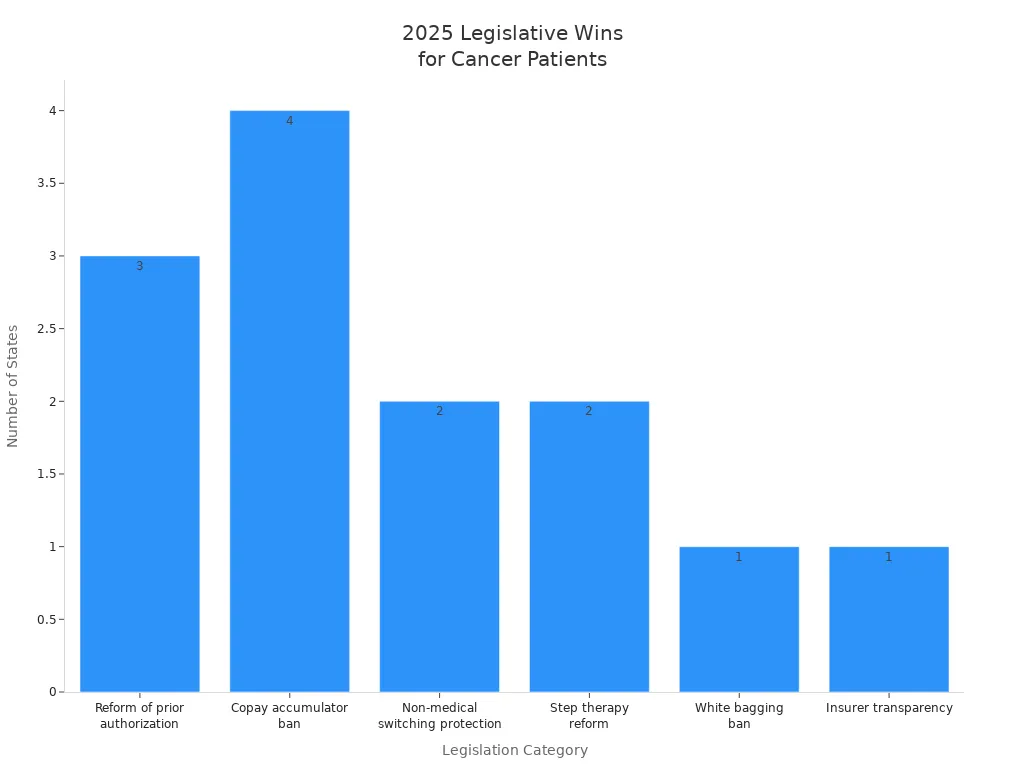 Bar chart showing counts of legislative wins for cancer patients by category in 2025