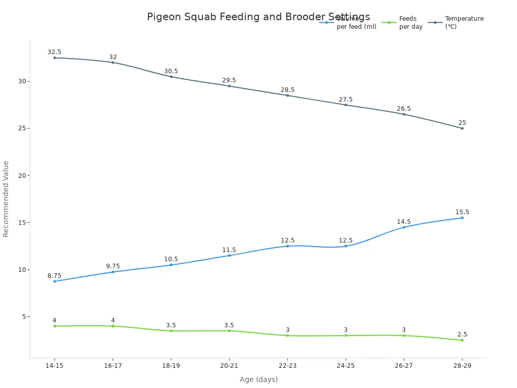 Line chart showing feeding volume, feeds per day, and brooder temperature for pigeon squabs by age