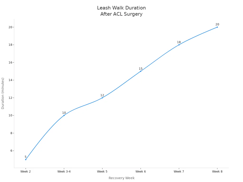 Line chart showing recommended leash walk duration per week for dogs recovering from ACL surgery