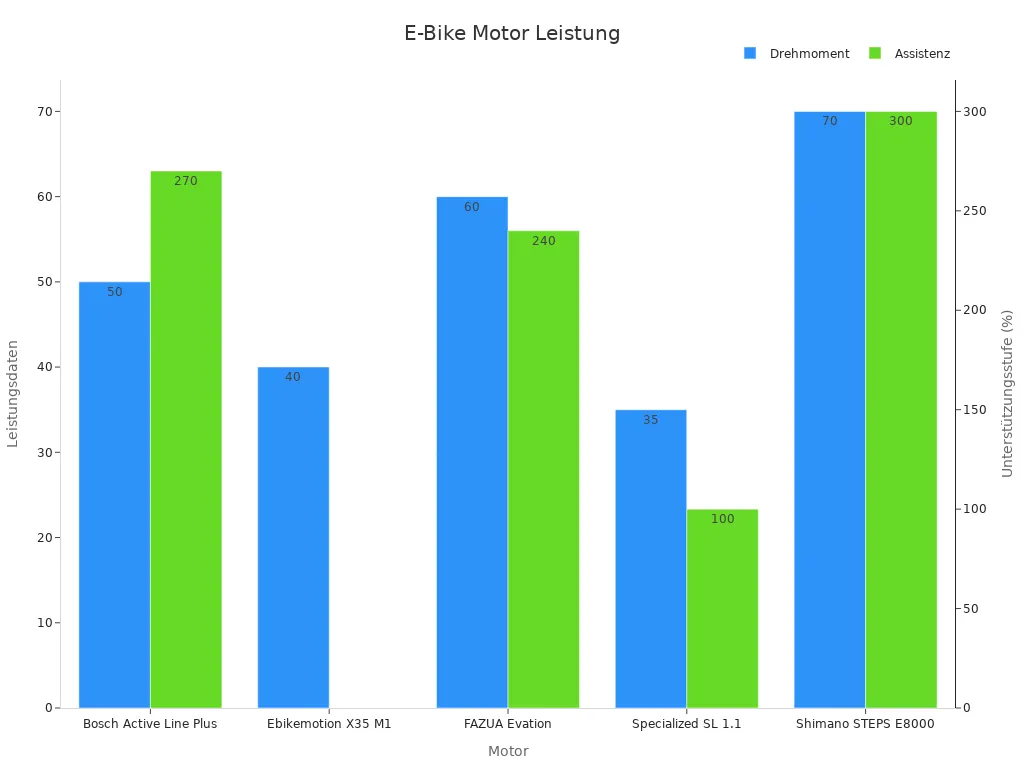 Balkendiagramm der E-Bike Motor Leistungsdaten