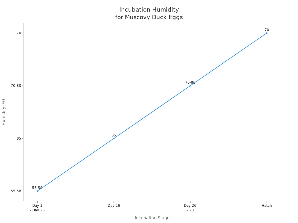 Line chart showing humidity levels at different stages of Muscovy duck egg incubation