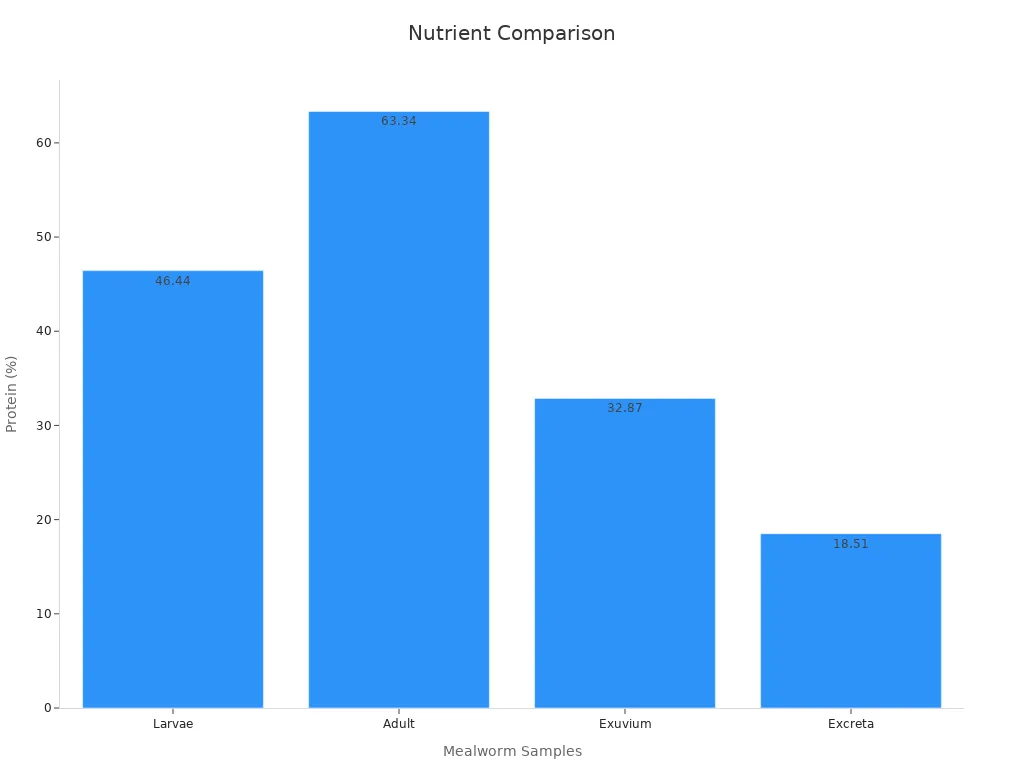 Bar chart comparing protein content in mealworm samples