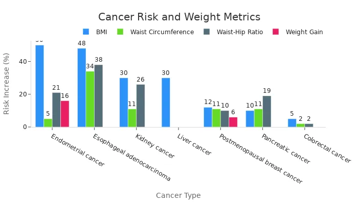 Grouped bar chart comparing risk increase percentages across various cancer types for BMI, waist circumference, waist-hip ratio, and weight gain measures.