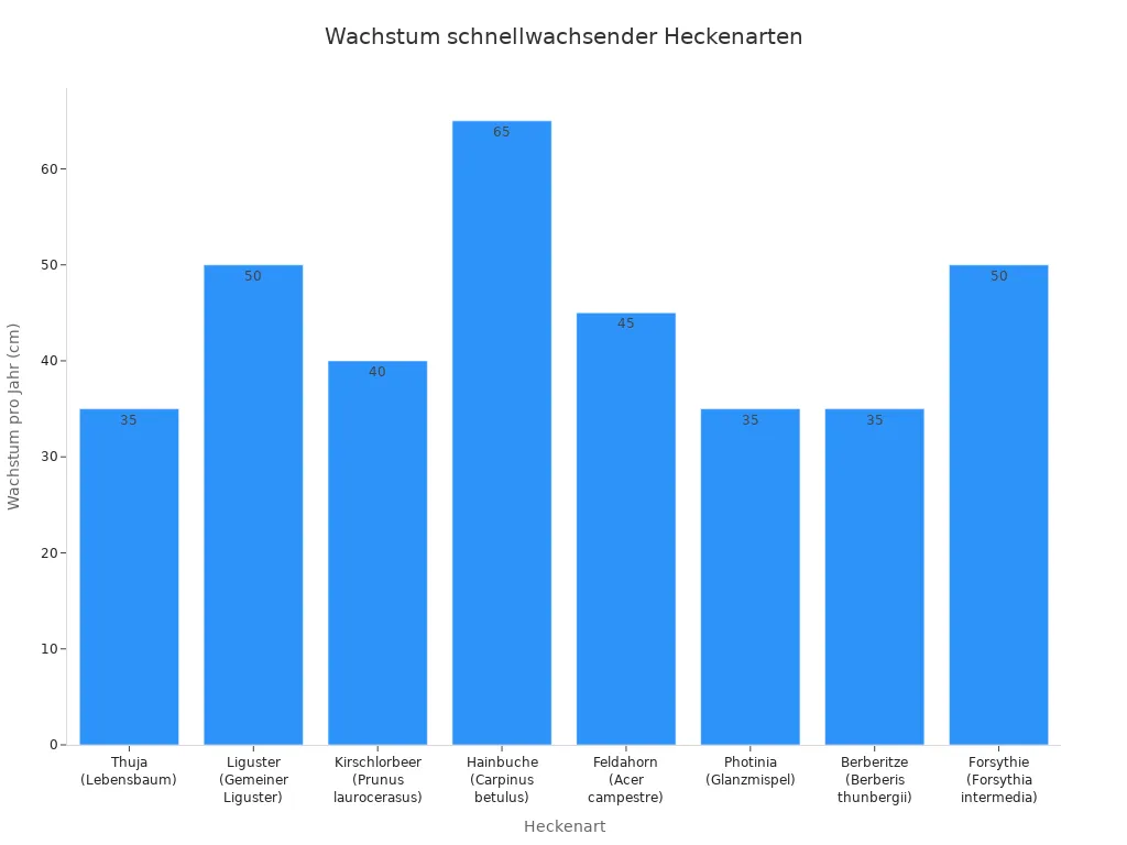 Balkendiagramm zum jährlichen Wachstum verschiedener schnellwachsender Heckenarten