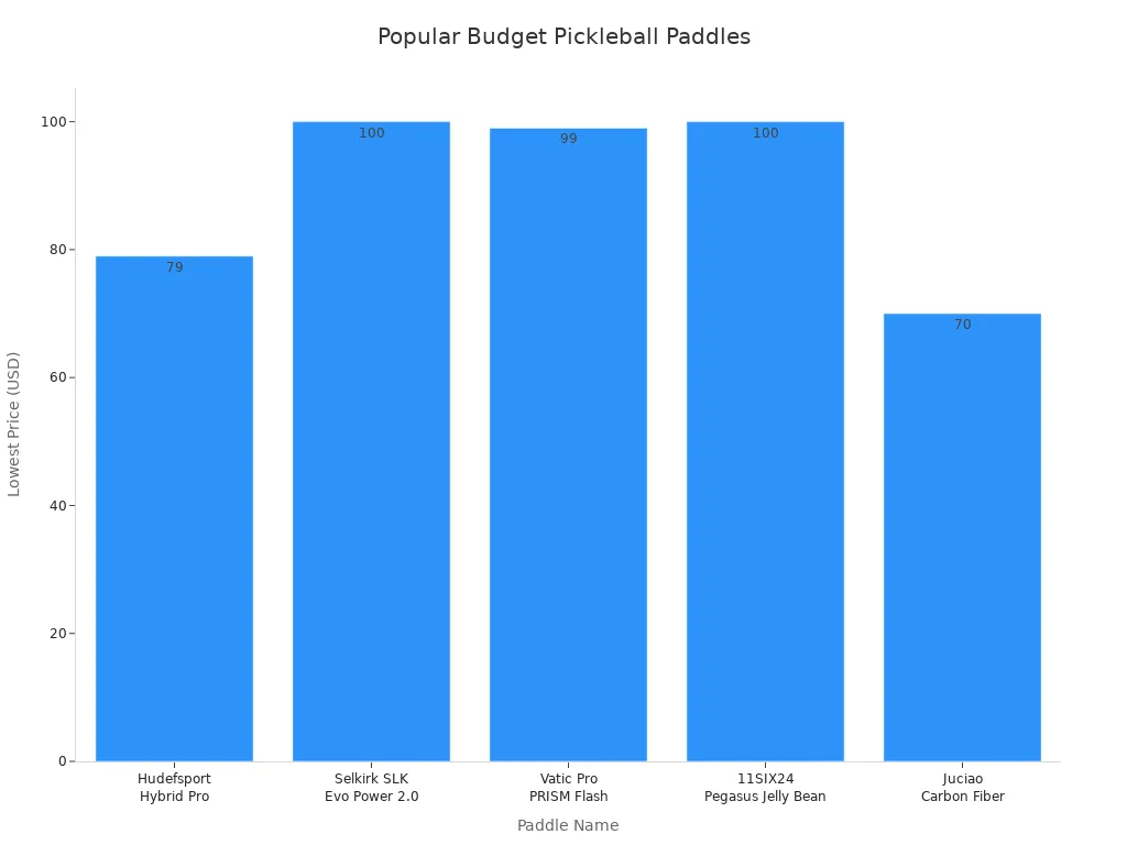 Bar chart comparing lowest prices of popular budget pickleball paddles